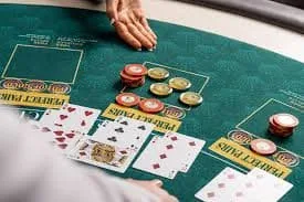 2888pet What Easypaisa Moneyzap Offers on 2888pet